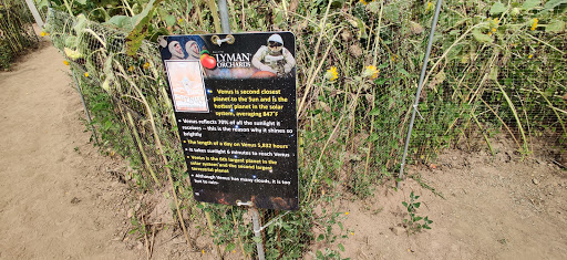 Tourist Attraction «Sunflower Maze», reviews and photos, South St, Middlefield, CT 06455, USA