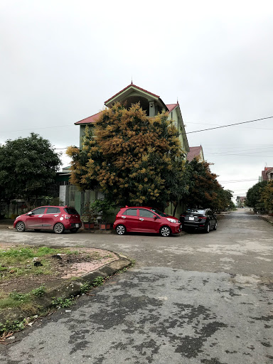 Tự lái - taxi Thuỷ Chất