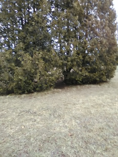 Historical Landmark «Ethan Allen Homestead Museum», reviews and photos, 1 Ethan Allen Homestead, Burlington, VT 05408, USA