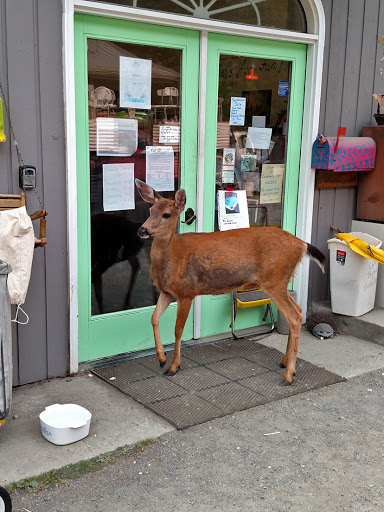 Thrift Store «Consignment Treasures», reviews and photos, 6739 Roche Harbor Rd, Friday Harbor, WA 98250, USA