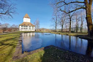 Schloss Wyl image