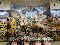 Sportsman's Warehouse - Photo 6 - Car repair in Greensboro, NC, Greensboro