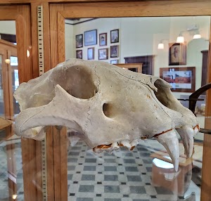 Valley of the Caddo Museum & Cultural Center - photo 6