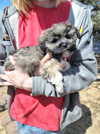 Pet Supply Store «Pet Ranch», reviews and photos, 3823 E 120th Ave, Denver, CO 80233, USA