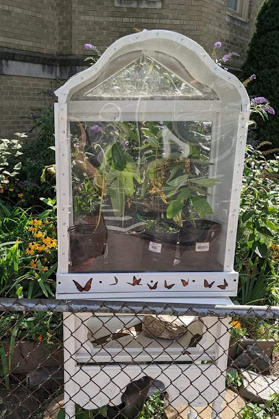 Inwood Butterfly Sanctuary