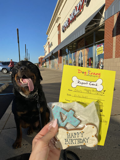 Pet Supply Store «Dog Krazy, Inc.», reviews and photos, 10681 Spotsylvania Ave, Fredericksburg, VA 22408, USA