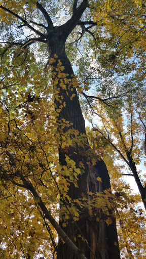 Cemetery «Crown Hill Funeral Home and Cemetery», reviews and photos, 700 38th St, Indianapolis, IN 46208, USA