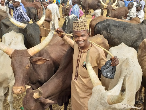 Cattle Market, Mubi, Nigeria, Restaurant, state Adamawa
