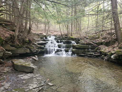 Wolf Creek Falls Preserve