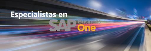 Ivolution - SAP Business One