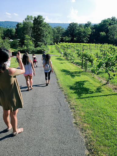 Winery «Six Mile Creek Vineyard», reviews and photos, 1551 Slaterville Rd, Ithaca, NY 14850, USA