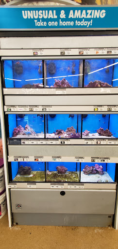 Pet Supply Store «Petco Animal Supplies», reviews and photos, 1243 N Peachtree Pkwy, Peachtree City, GA 30269, USA