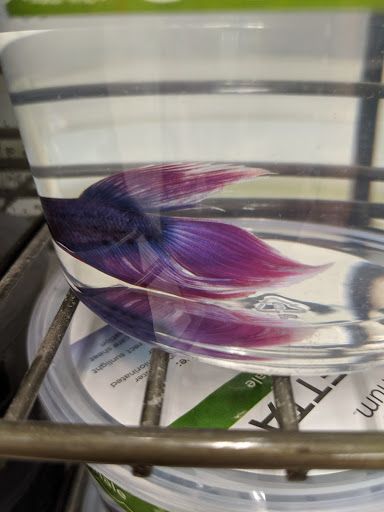 Pet Supply Store «Petco Animal Supplies», reviews and photos, 1215-1309 NJ-33 #1, Hamilton Township, NJ 08690, USA