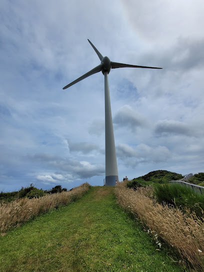 Wellington Wind Turbine