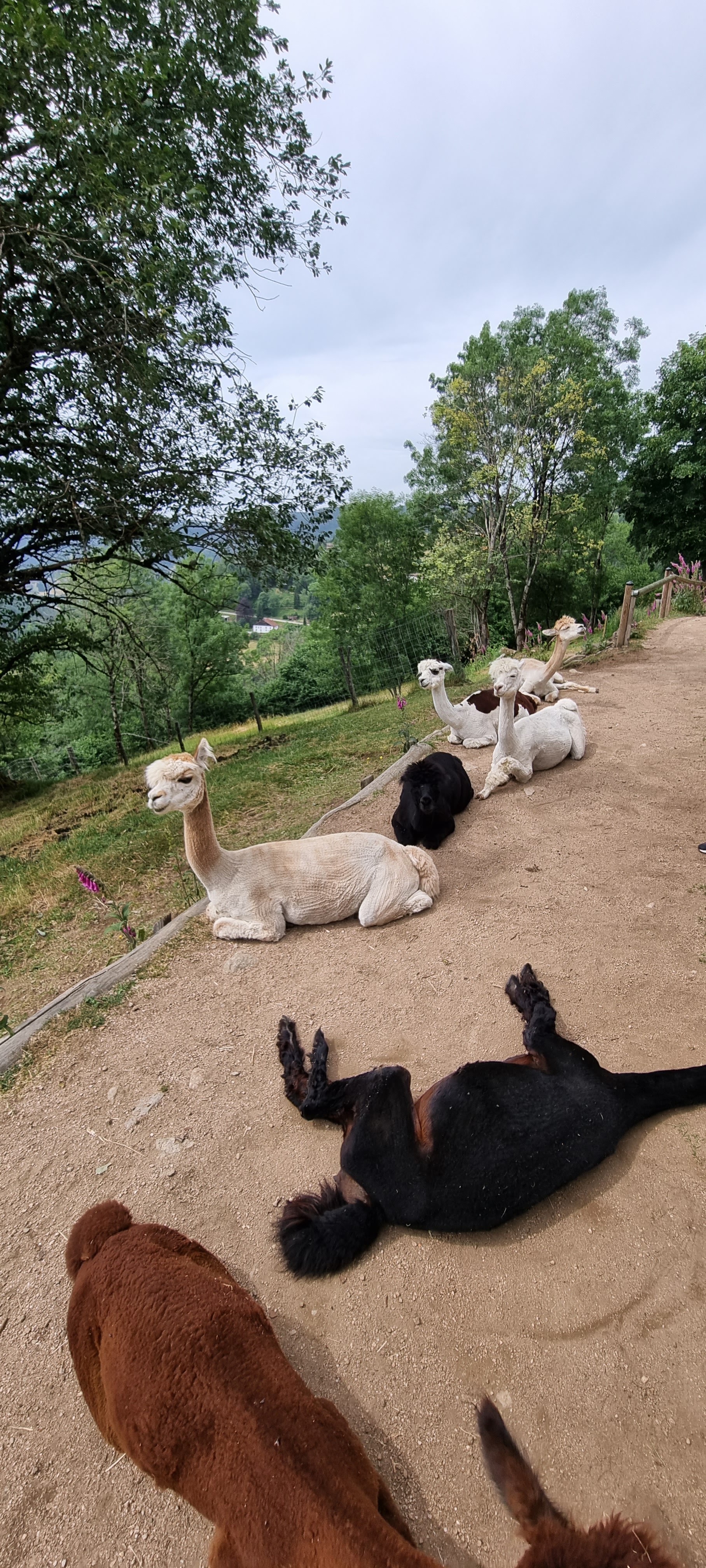 Photo n° 3 de l'avis de Stéphane. fait le 22/06/2023 à 11:28