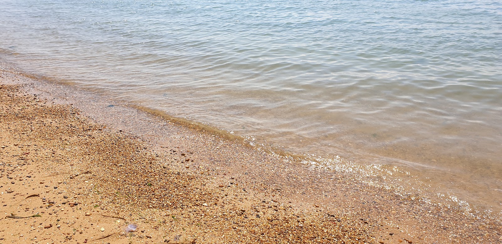 Photo of Westcliff beach with spacious shore