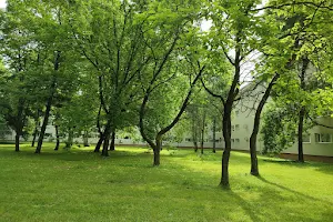 Park Klasije image