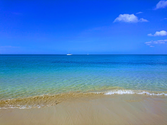 Bamboo Beach