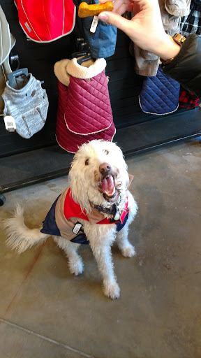 Pet Store «Dogma - Life, With Your Pet.», reviews and photos, 1719 Whetstone Way, Baltimore, MD 21230, USA