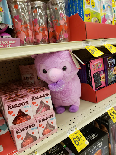 Grocery Store «Safeway», reviews and photos, 2836 Pacific Ave, Forest Grove, OR 97116, USA