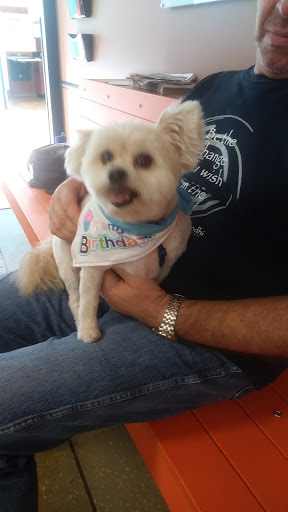 Pet Supply Store «PetSmart», reviews and photos, 1800 Evans Rd, Melbourne, FL 32904, USA