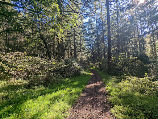 Olema Valley Trail