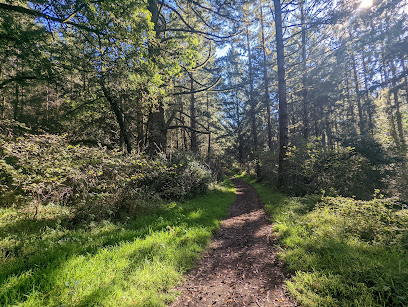 Olema Valley Trail