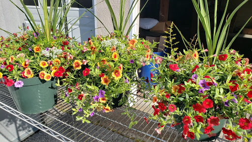 Florist «Flowers By Louis Hody», reviews and photos, 99 Seaboard Ln, Brentwood, TN 37027, USA