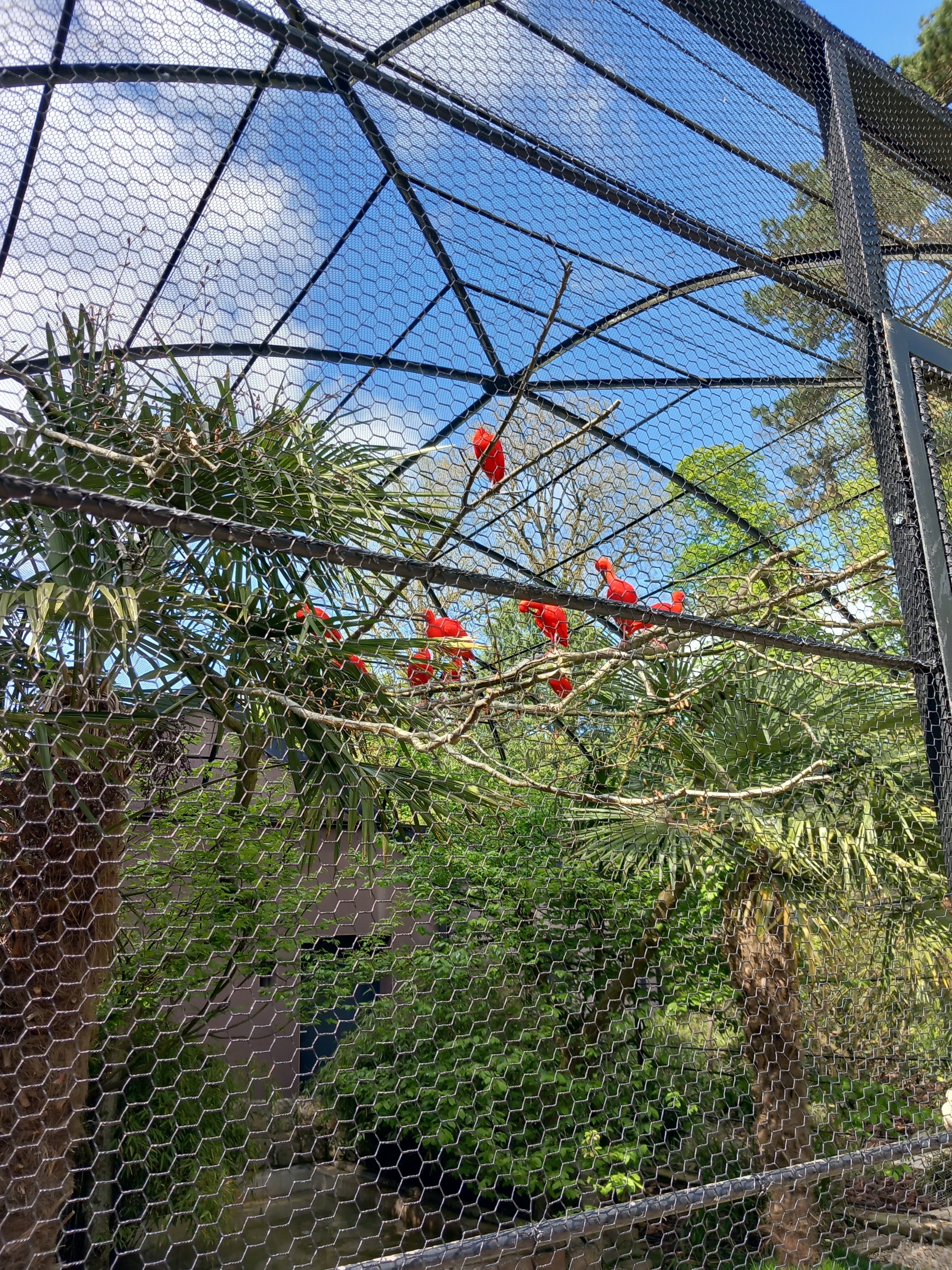 Photo n° 5 de l'avis de Karl.h fait le 01/05/2023 à 06:31