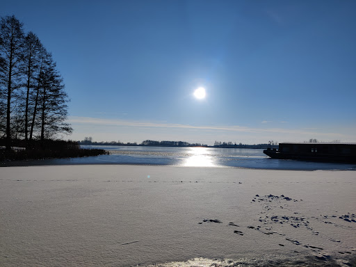 Campsites to go with dogs Warsaw