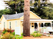 Elisabeth Sherman - Photo 1 - Car repair in Sebastopol, CA, Santa Rosa