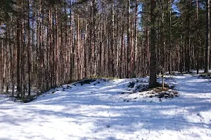 Harku forest trails image