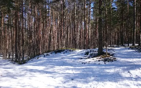 Harku forest trails image