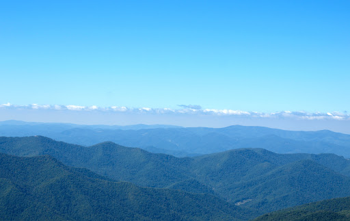 Insurance Agency «State Farm: Diane Bauknight Asheville-Arden-Fletcher», reviews and photos