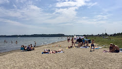 Holl Beach'in fotoğrafı çok temiz temizlik seviyesi ile