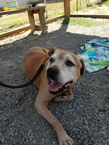 Greenhill Humane Society