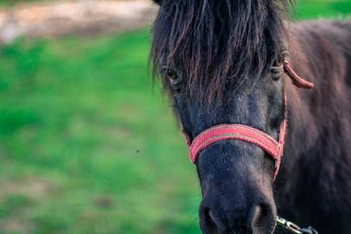 Modern Art Museum «Solomon R. Guggenheim Museum», reviews and photos, 1071 5th Ave, New York, NY 10128, USA