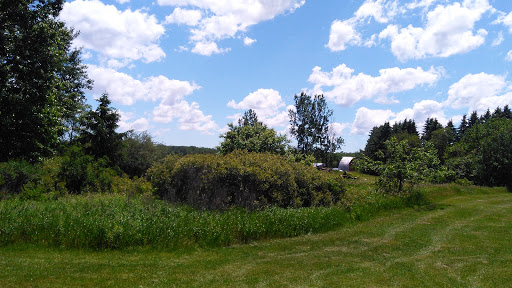 Tourist Attraction «Crossroads Village & Huckleberry Railroad», reviews and photos, 6140 Bray Road, Flint, MI 48505, USA