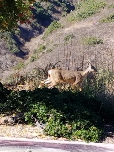 Cable Company «Time Warner», reviews and photos, 10450 Pacific Center Ct, San Diego, CA 92121, USA