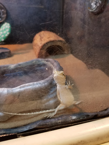 Pet Supply Store «PetSmart», reviews and photos, 19 Clifton Country Rd, Clifton Park, NY 12065, USA