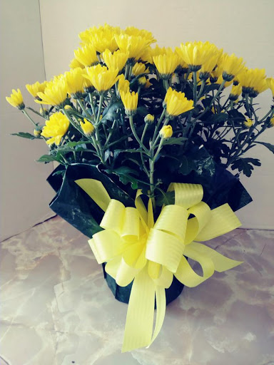 Florist «A Daisy A Day», reviews and photos, 749 Silas Creek Pkwy, Winston-Salem, NC 27127, USA