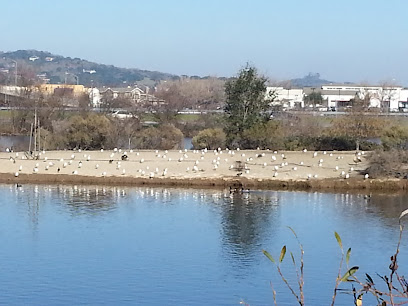 Scottsdale Pond