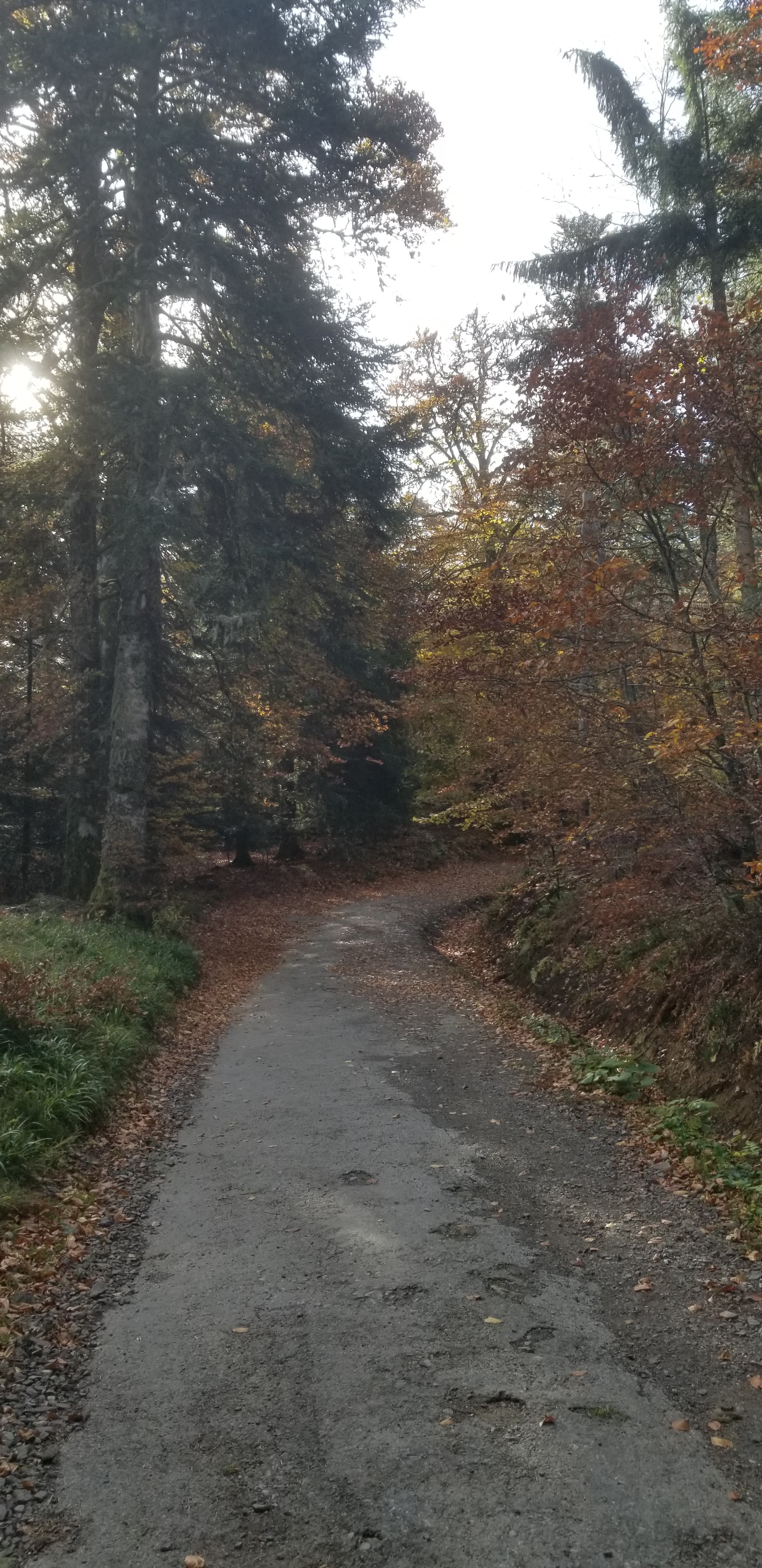 Photo n° 5 de l'avis de Céline.O fait le 28/10/2021 à 15:42