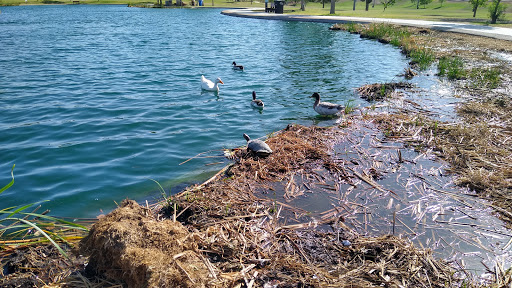 Park «Discovery Park», reviews and photos, 2214 E Pecos Rd, Gilbert, AZ 85297, USA