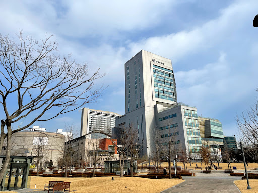 Korean courses Seoul