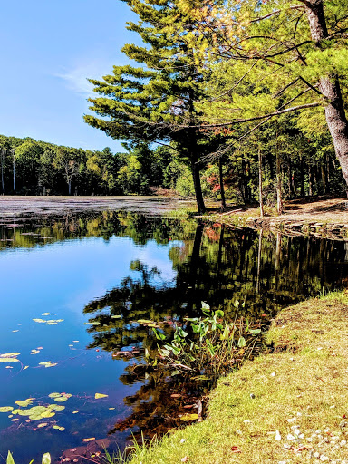 Outdoor Sports Store «Maple Hill Disc Golf», reviews and photos, 132 Marshall St, Leicester, MA 01524, USA