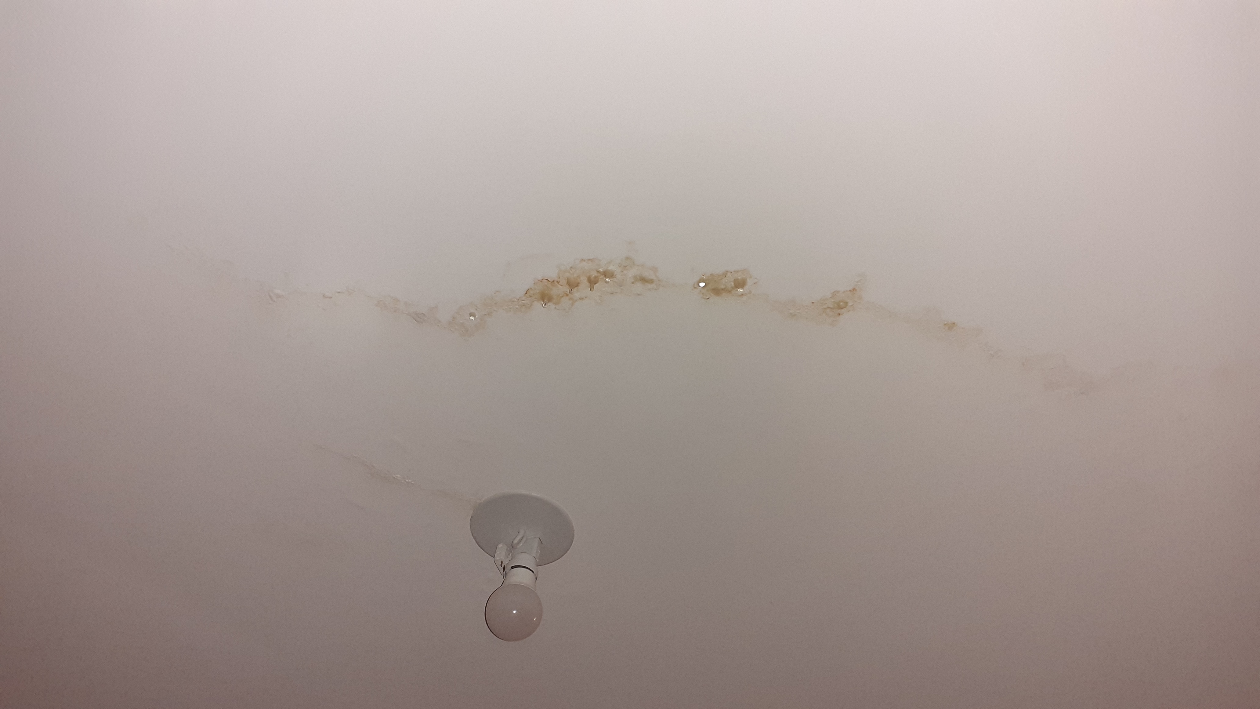 Photo n° 1 de l'avis de khalid.a fait le 13/11/2022 à 22:16