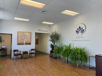 Lotus Professional College - Photo 5 - Car repair in Richmond, VA, Richmond