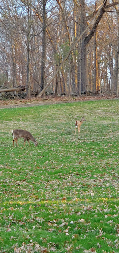 Park «Mary Cummings Park», reviews and photos, 25 Blanchard Rd, Burlington, MA 01803, USA