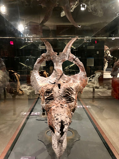 Science Museum «Museum of the Rockies», reviews and photos, 600 W Kagy Blvd, Bozeman, MT 59717, USA